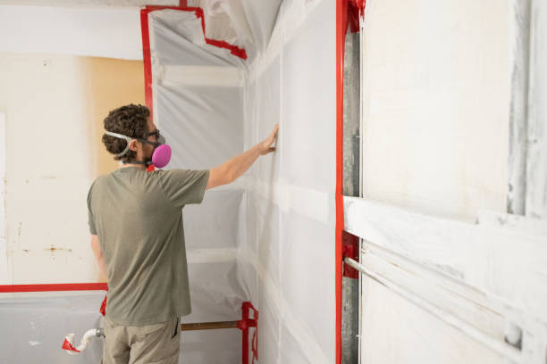Environmental Consulting for Mold Prevention in Forestdale, MA