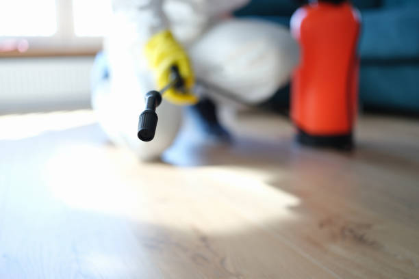 Best HVAC Mold Inspection and Cleaning  in Forestdale, MA