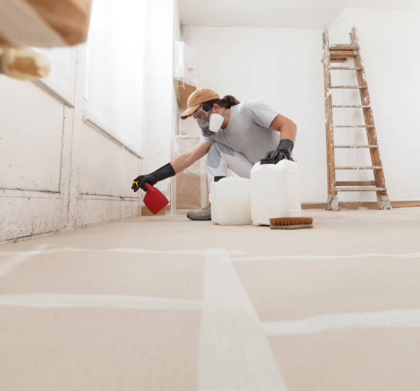 Best Asbestos and Lead Testing During Mold Inspection  in Forestdale, MA