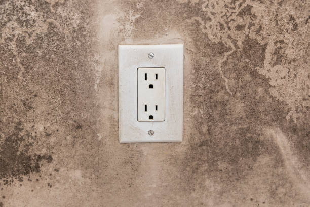 Best Air Quality Testing for Mold Spores  in Forestdale, MA